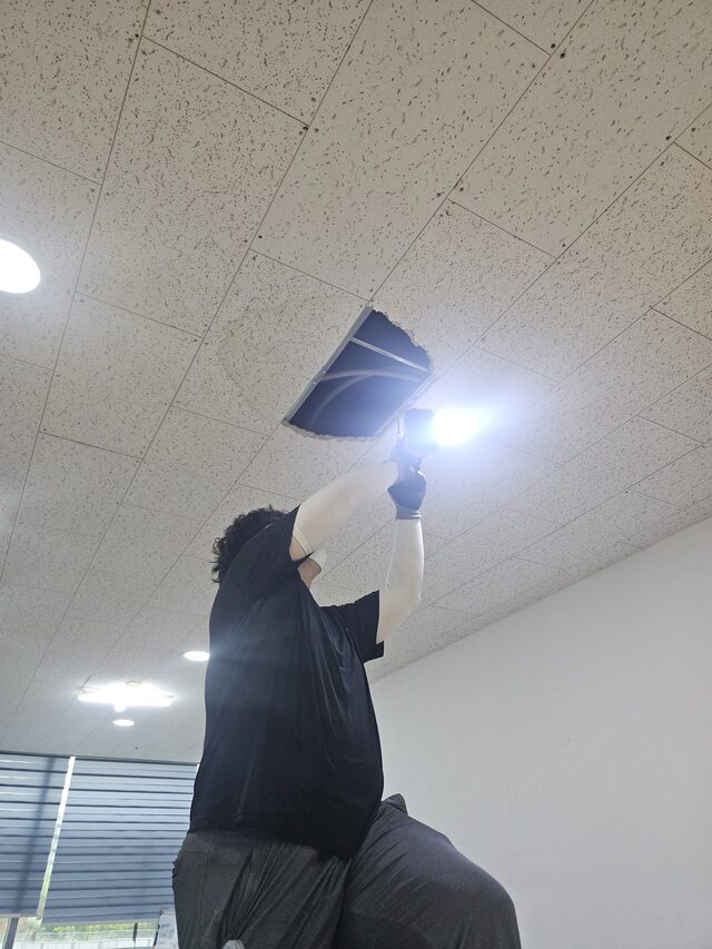 사다리 위에서 천장 텍스를 점검하는 작업자