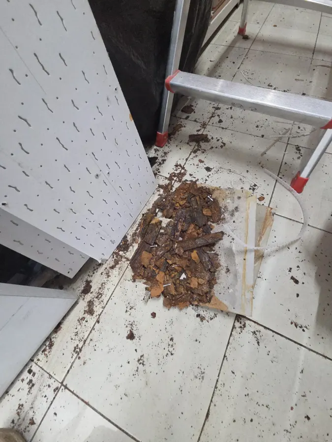 점포 바닥에 떨어진 천장 잔해와 텍스 패널이 기대 세워진 모습